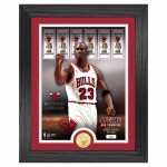 Obraz Chicago Bulls NBA Michael Jordan Bronze Coin