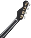 Fender Avalon Tenor Ukulele WN BK