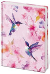 Zápisník Vario A4 Colibri - linkovaný XL