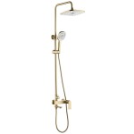 REA - Sprchový set STORM GOLD BRUSH REA-P9536