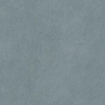 Dlažba Mrazuvzdorná Solid Gris 80/80