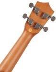 Bamboo U-21 Patagonia