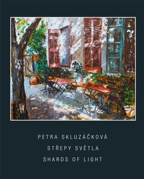 Střepy světla - Petra Skluzáčková