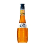 Bols Apricot Brandy 24% 0,7l (8716000965240)