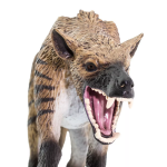 Safari Ltd. Safari Ltd. Figurka - Hyaenodon gigas