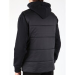 Vesta DC D053840107 m