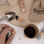 Blossombs Dárková sada semínek divokých květin With love – 7 ks, multi barva, papír