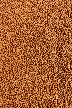 FeederBait Pelety Method Pellet 2mm 800g - R72 - Broskev/Ananas,FeederBait Pelety Method Pellet 2mm 800g - R72 - Broskev/Ananas
