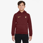 Nike Liverpool FC NSW Club PO Hoodie Jr FZ4149-619