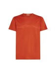 ICEBREAKER Mens 150 Tech Lite SS Tee Mounta Pulse, Agate (vzorek) velikost: M