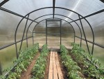 Polykarbonátový skleník – KYKLOP, PC 4 mm, 3×8 m