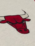 Mitchell & Ness Pánská mikina Chicago Bulls NBA Retro Roots French Terry Hoodie Velikost: S