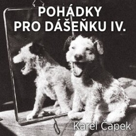 Pohádky pro Dášenku IV.