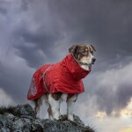 Pláštěnka Monsoon Coat ECO šípková, Hurtta Velikost: 65