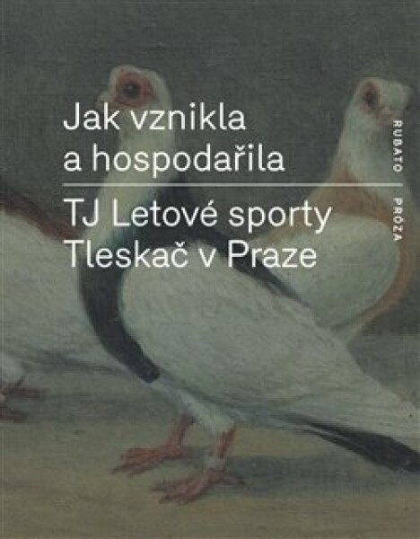 Jak vznikla a hospodařila TJ Letové sporty Tleskač v Praze - autorů - e-kniha