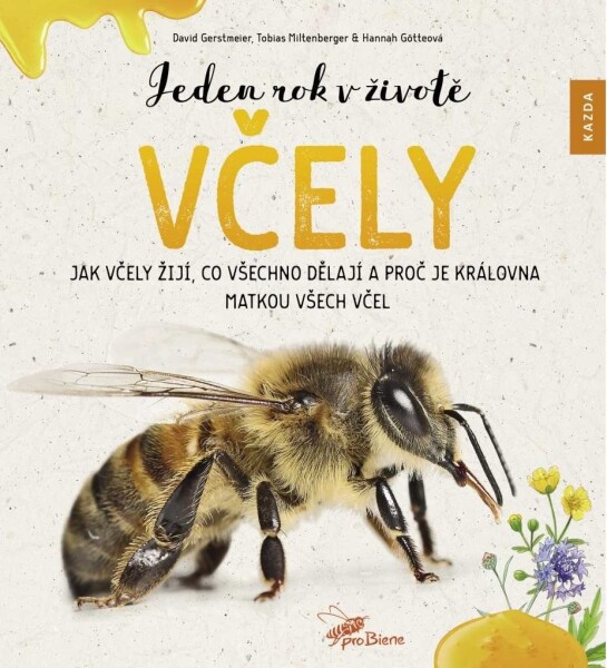 Jeden rok životě včely včely