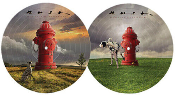 Signals / 40th Anniversary (Picture Vinyl) - LP - Rush