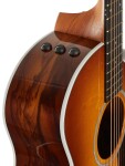 Taylor 214ce Plus Special Ziricote