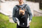 Trend batoh pro psa | do 10 Kg Barva: Černá, Dle váhy psa: 6 - 10 kg
