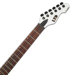 ESP LTD TE-200 SW