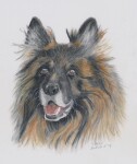 Derwent Tinted Charcoal 2301691 24 ks, tónované uhly