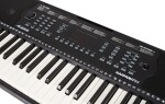 Alesis Harmony 54