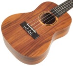 Tanglewood TWT 8