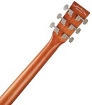 Tanglewood TR 5