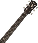 Taylor Gold Label 514e FS SB