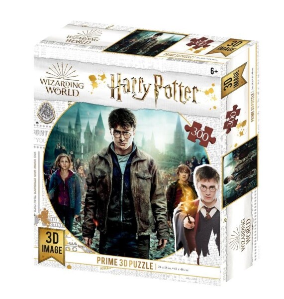 Harry Potter 3D puzzle Harry Hermiona Ron 300 dílků