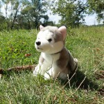 Plyšový pes husky sedící s vodítkem 28 cm ECO-FRIENDLY