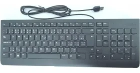 Lenovo Essential Wired Keyboard černá / Klávesnice / drátová / USB-A / CZ/SK (4Y41C68691)