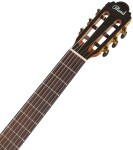 Blond SC-44S R NAT (použité)