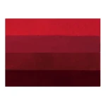 Spirella FOUR koupelnová předložka 60 x 90 cm červená / polyester / protiskluzová (7610583161697)