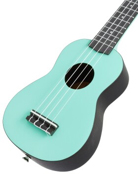 Ortega K2-CBM