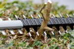 Aku nůžky na živý plot Bosch GHE 18V-60 06008C9000