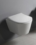 SAPHO - AVVA WC sedátko, SLIM, Soft Close, bílá 100787