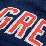 Mitchell & Ness Pánský dres New York Rangers NHL Wayne Gretzky #99 1996-97 Premium Power Play Velikost: M