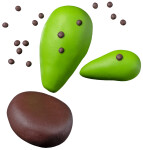 Staedtler Fimo Kids sada Funny Cactus