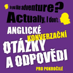 Anglické konverzační otázky a odpovědi pro pokročilé - Ludvík Richard