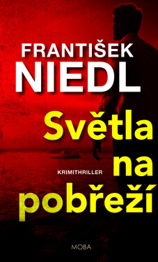 Světla na pobřeží - František Niedl