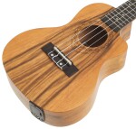 Tanglewood TWT 13 E (rozbalené)