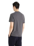 Pánské triko krátký rukáv ICEBREAKER Mens Central Classic SS Tee, Monsoon velikost: L