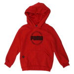 Mikina Puma DCT Hoodie Jr 849258 11 116