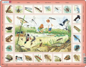 Puzzle MAXI - Život u rybníka/48 dílků, 1. vydání - Lagardere