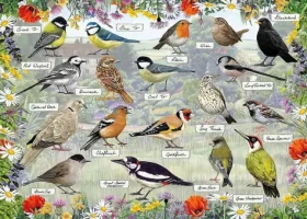 GIBSONS Puzzle RSPB: Šťastní ptáčci