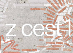 Zápisky z cest 1 - Zuzana Frantová, Ivan Foletti, Monika Kučerová