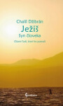 Ježiš Syn človeka