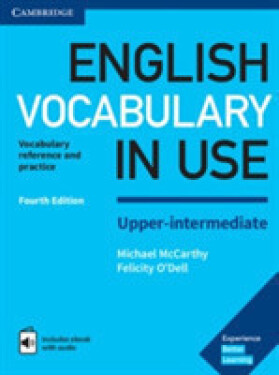English Vocabulary in Use Michael McCarthy