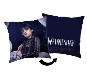Polštářek - Wednesday Rain